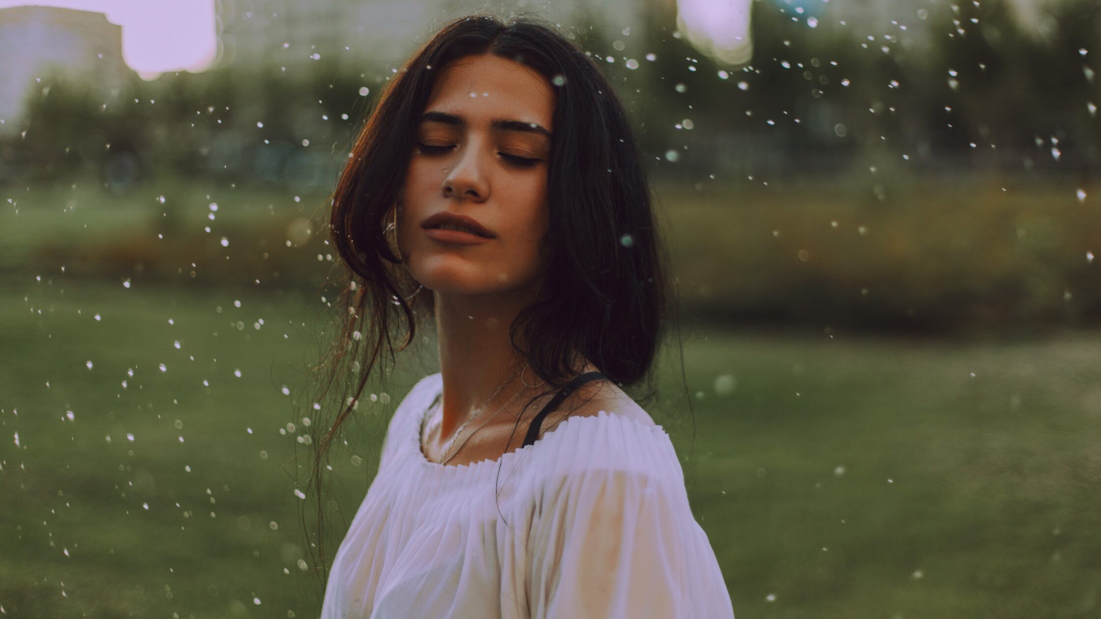 引き寄せの正体は「感情」だった