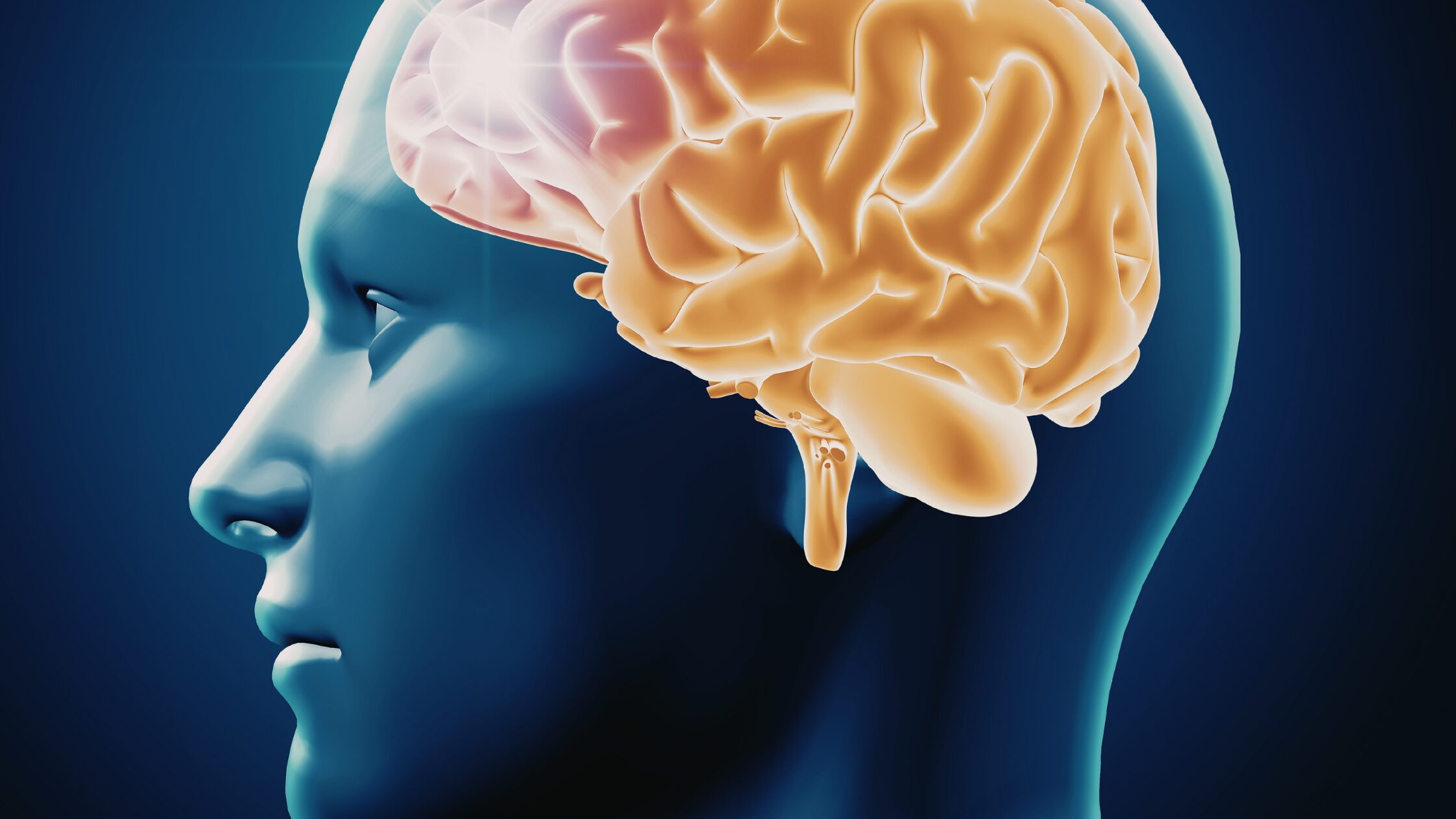 創造力がない人ほど伸びる時代：脳のクセを変えて発信で稼ぐ方法